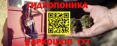 стаф Лесосибирск